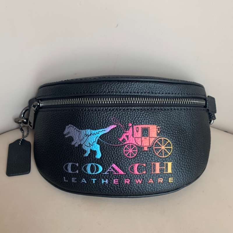 Coach dinosaur sling sale bag