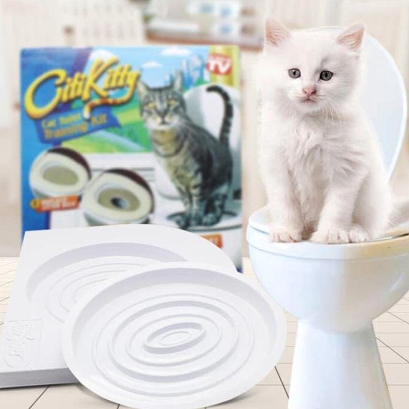 cat toilet training