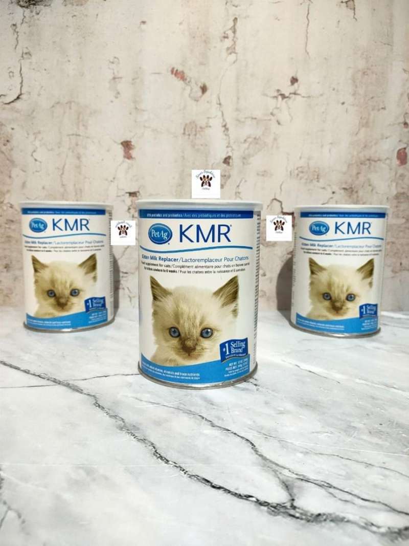 Esbilac kitten deals