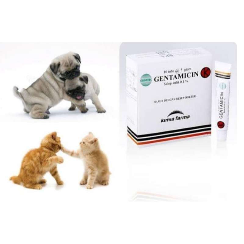 Promo Salep Luka Kucing / Salep Luka Anjing / obat luka-mencegah 