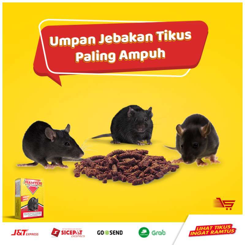 Jual Ramtus Umpan Jebakan Tikus Besar Dan Masal Koloni Tikus Jakarta Online Maret 2021 Blibli Ikuti cara membuat jebakan tikus di bawah ini. ramtus umpan jebakan tikus besar dan masal koloni tikus jakarta