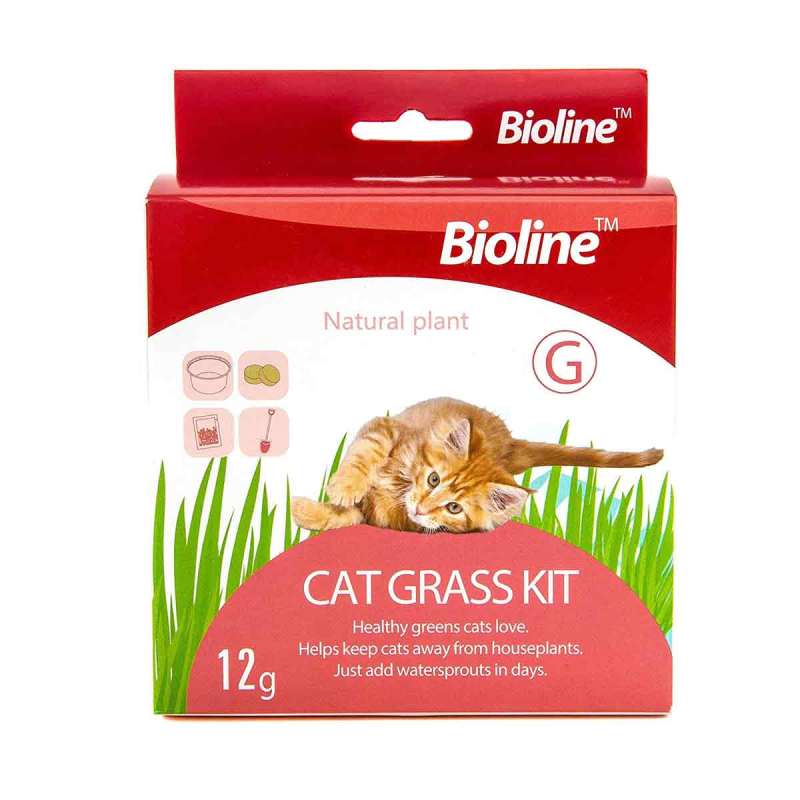 Jual Ciao Bioline Cat Grass Kit Snack Kucing [12 gr] di Seller 
