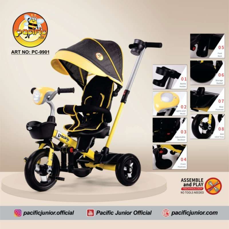 Tricycle pacific sale