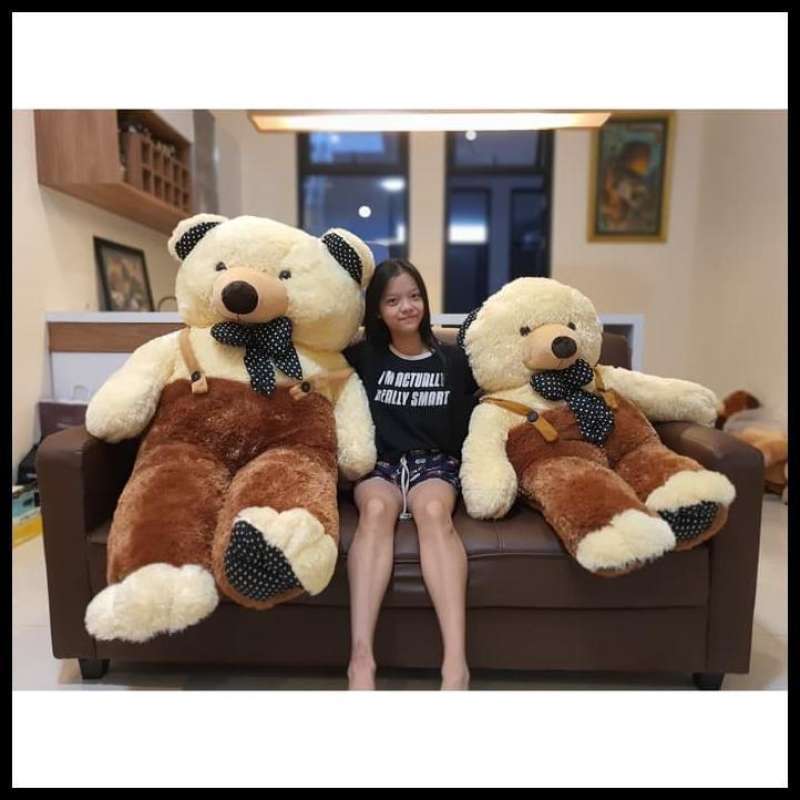 Teddy bear clearance 1 5 meter