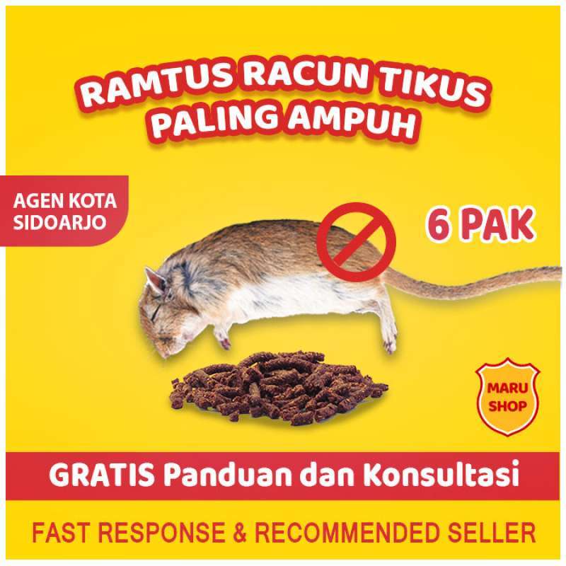 Jual Jebakan Tikus Masal Besar Massal Jumbo Ramtus Murah Obat Pembasmi Paling Ampuh Dan Alat Perangkap Curut Untuk Mobil Rumah Online Maret 2021 Blibli Anda bisa langsung membeli lem tikus. jebakan tikus masal besar massal jumbo ramtus murah obat pembasmi paling ampuh dan alat perangkap curut untuk mobil rumah