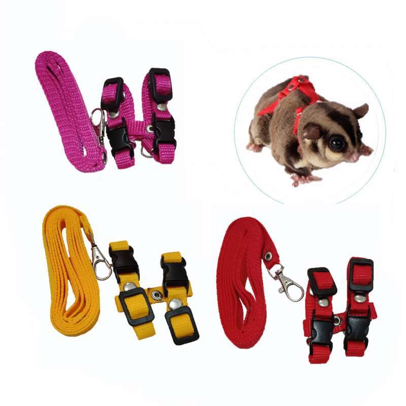 Tali hotsell sugar glider