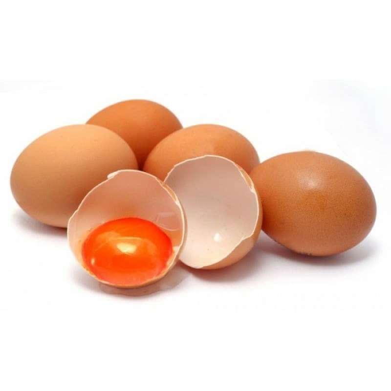 TELUR OMEGA CURAH