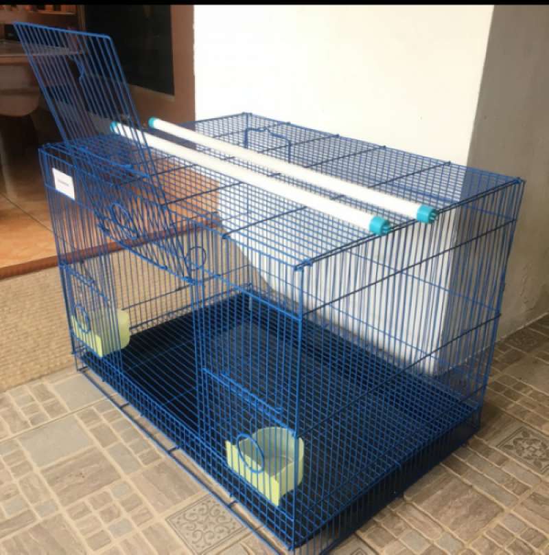Jual Terbaru Kandang Burung Ternak Umbaran 4 Susun Kandang Burung Lovebird Jakarta Pusat Khayana Dwi Tokopedia