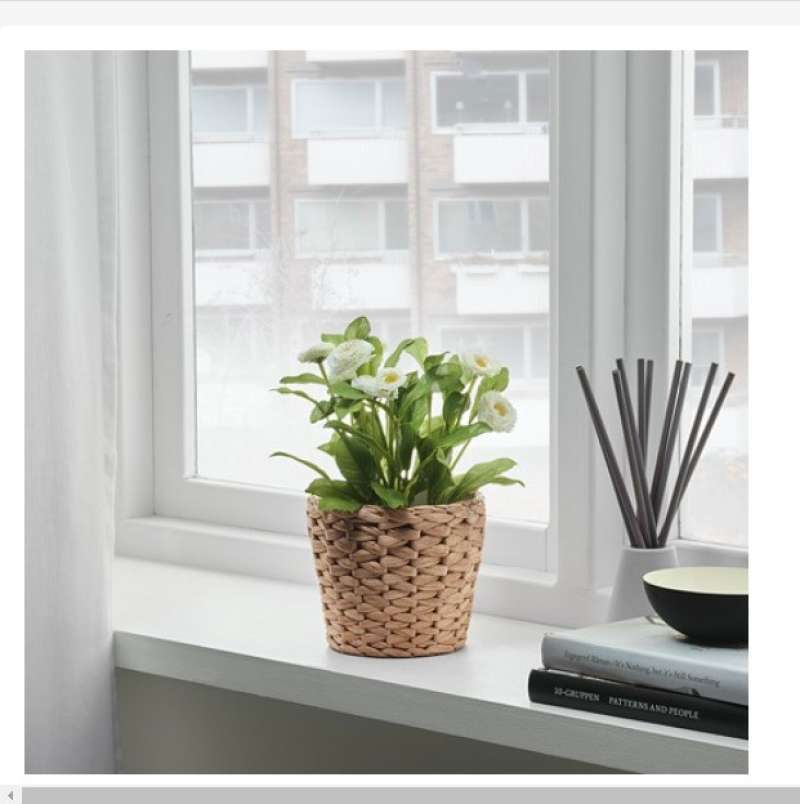 Jual Pot Tanaman Dekorasi Fridfull Pot Bahan Eceng Gondok Tinggi 13cm Online Februari 2021 Blibli