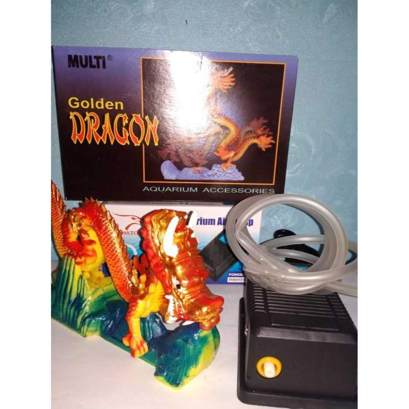 400+ Model Dekorasi Aquarium Gratis Terbaru