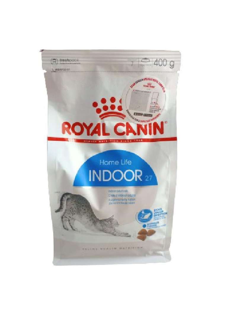 Rc indoor cheap