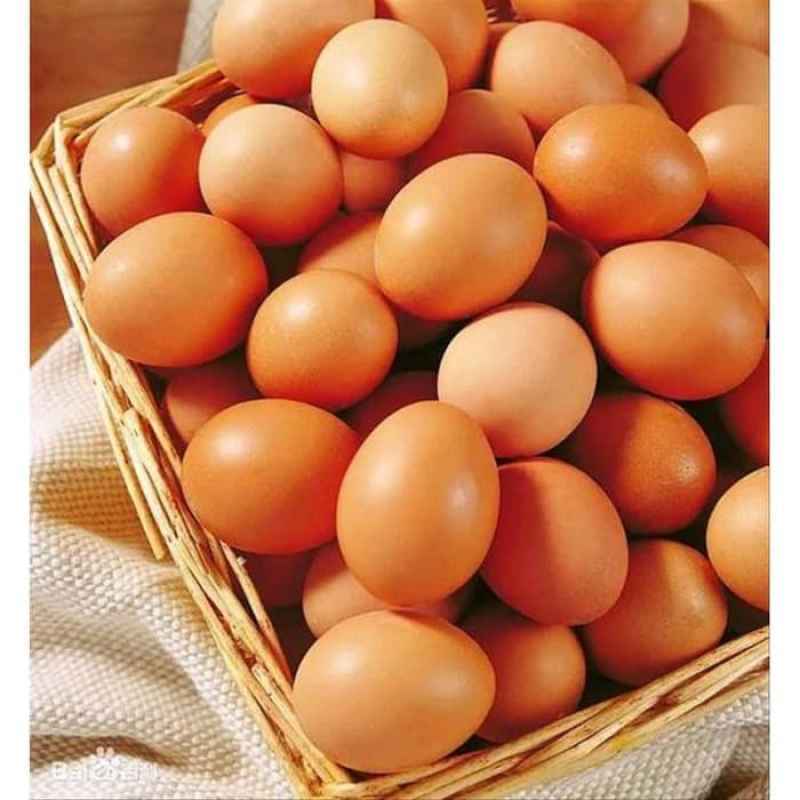 Jual Telur Ayam Negri 250gr Telor Ayam 1 4kg Online Januari 2021 Blibli