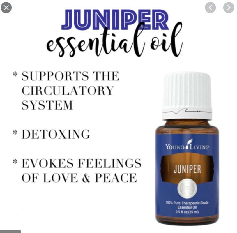 Promo Juniper Youngliving 15ml Di Seller Shinesun Kota Tangerang Selatan Banten Blibli