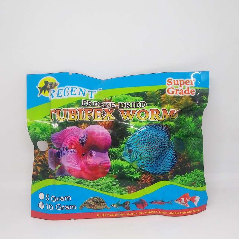 Tubifex discus shop