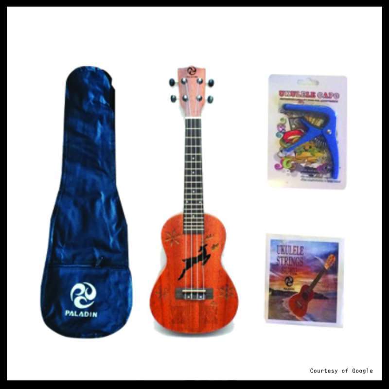 Ukulele paladin clearance concert