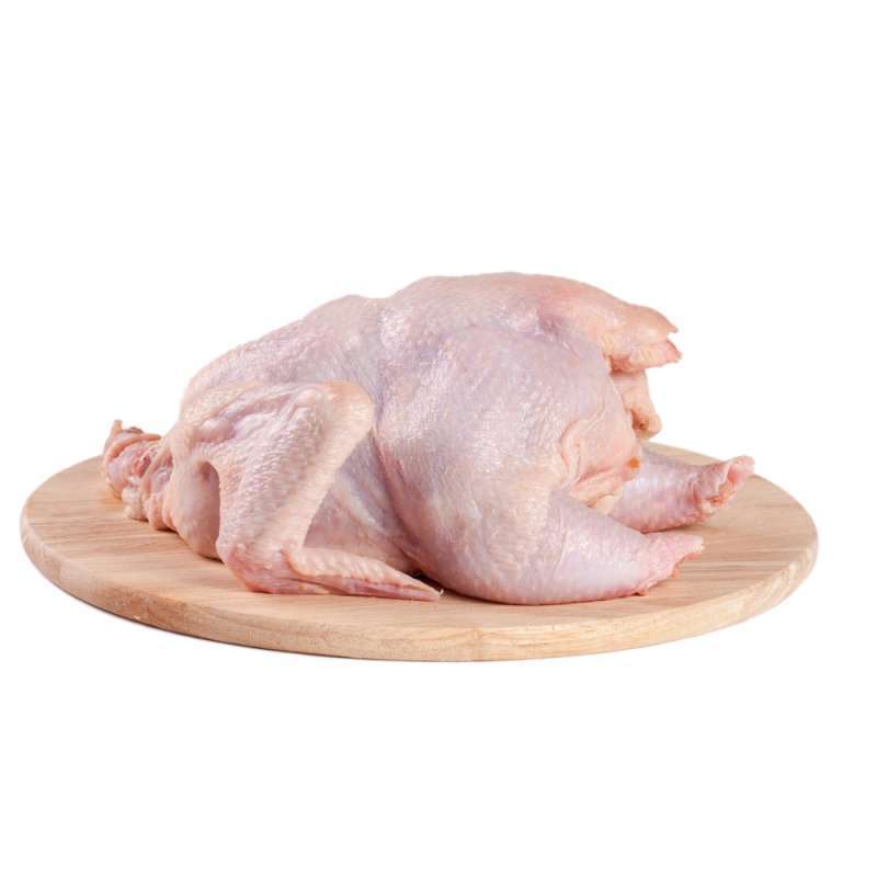 Ayam Utuh Segar JiliBroiler
