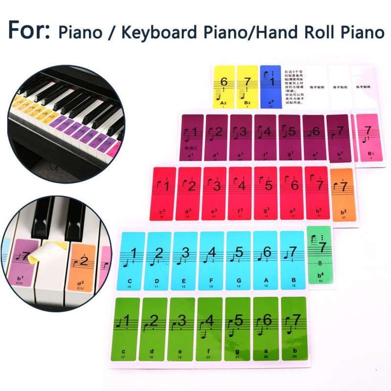 Jual Colored Piano Keyboard Stickers Removable for Kids ...