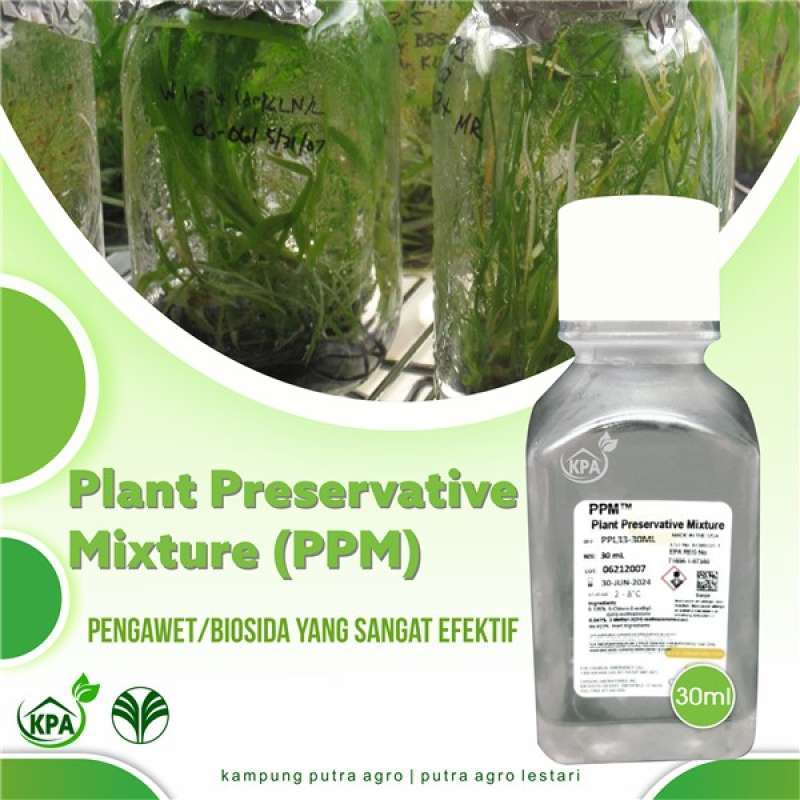 no_brands_plant_preservative_m 
