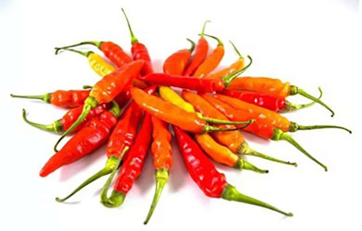 Cili Merah Red Chilli Tesco Groceries