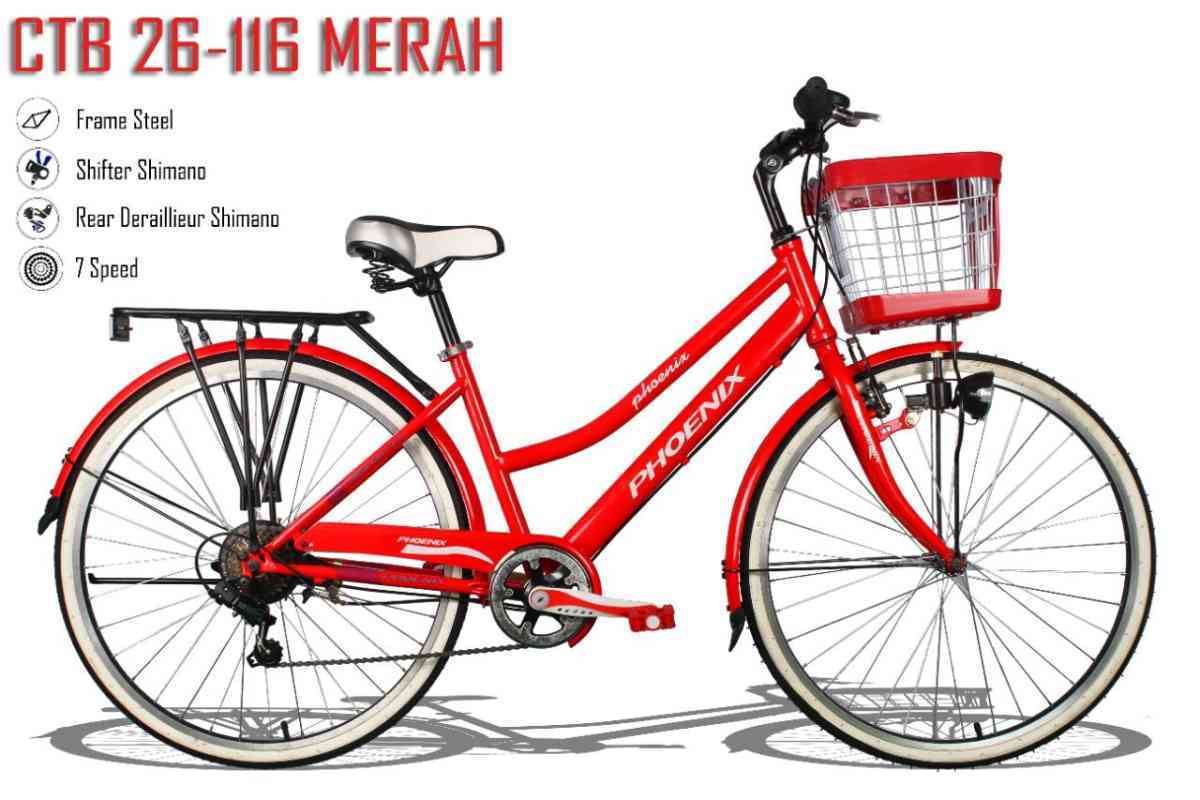 City bike phoenix store