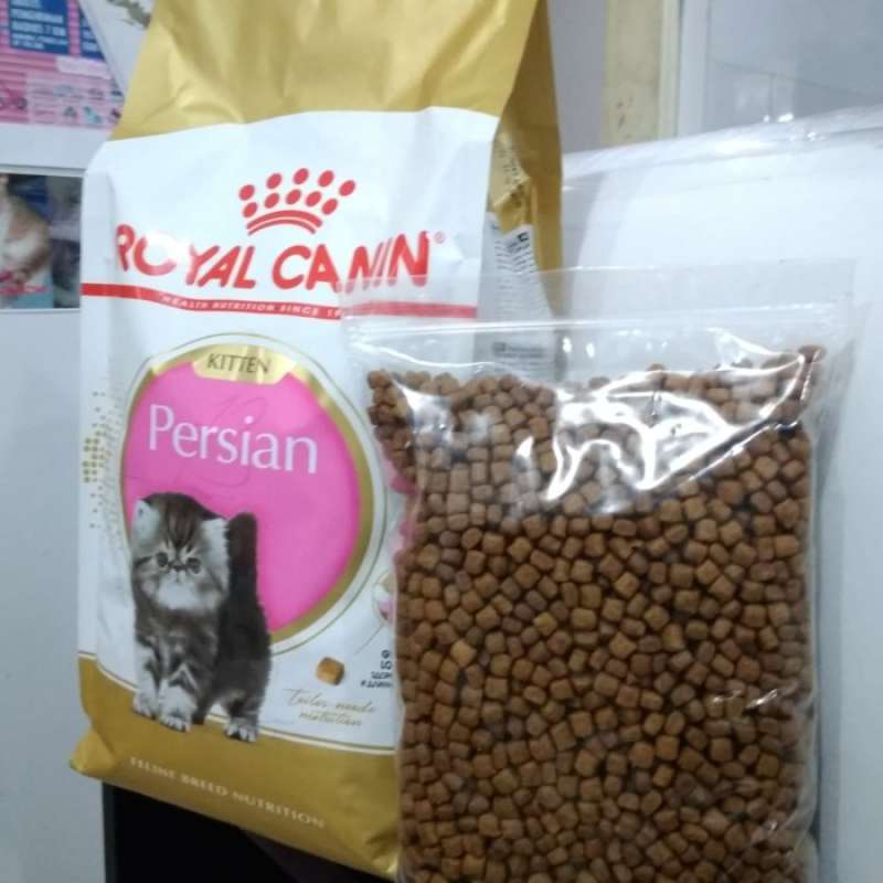 Promo no Brand Royal Canin Persian Kitten 32 Kemasan 500gr Rc Kitten Diskon 50 Di Seller A2 Pet Shop Tugu Utara Kota Jakarta Utara Blibli