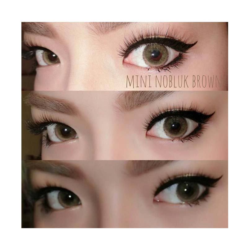 Jual Jbs Dreamcolor1 Softlens Nobluk Brown Gratis Lens Case Online Desember 2020 Blibli