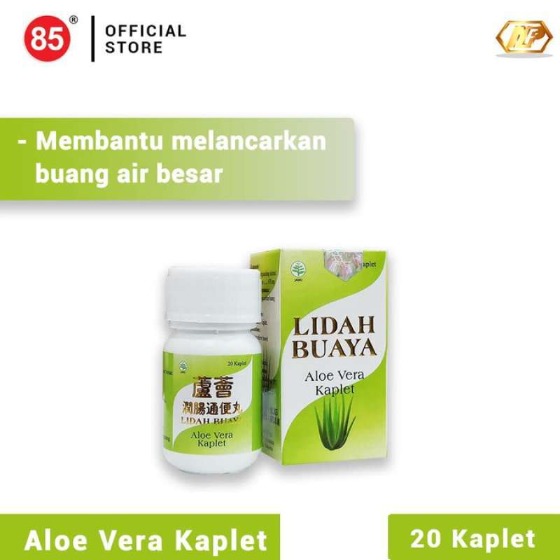 Jual Nan Fung Lidah Buaya Aloe Vera Tablet Obat Lancar Bab Sembelit Online Januari 2021 Blibli