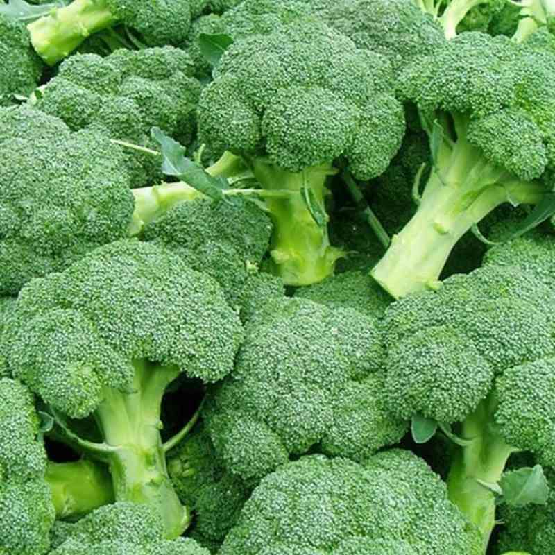 Jual Brokoli Hijau 500g Di Seller Toko Adam Mutiara - Glugur Darat I, Kota Medan | Blibli
