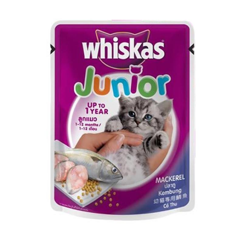 Jual Whiskas Pouch Kitten Junior Mackerel Cat Food Basah [85 g] di Seller  GROSIR MAKANAN BURUNG Official Store - Kota Tangerang, Banten | Blibli