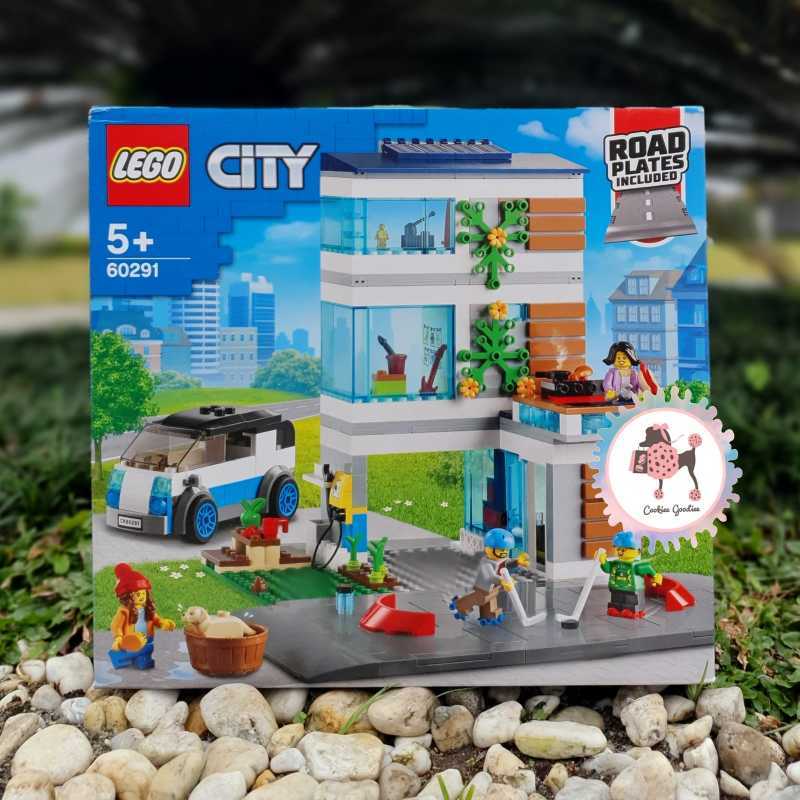 60291 modern top family house