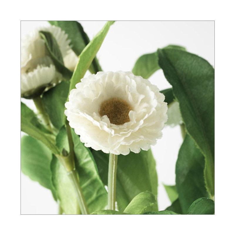 Jual Ikea R Fejka Artificial Potted Plant Tanaman Tiruan Dalam Pot Multicolor 12 Cm Online September 2020 Blibli Com