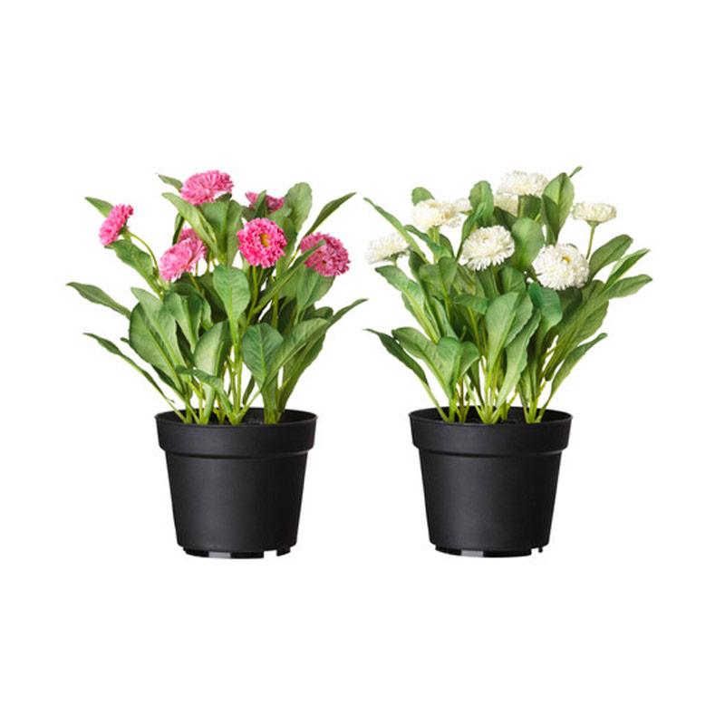 Jual Ikea R Fejka Artificial Potted Plant Tanaman Tiruan Dalam Pot Multicolor 12 Cm Online September 2020 Blibli Com