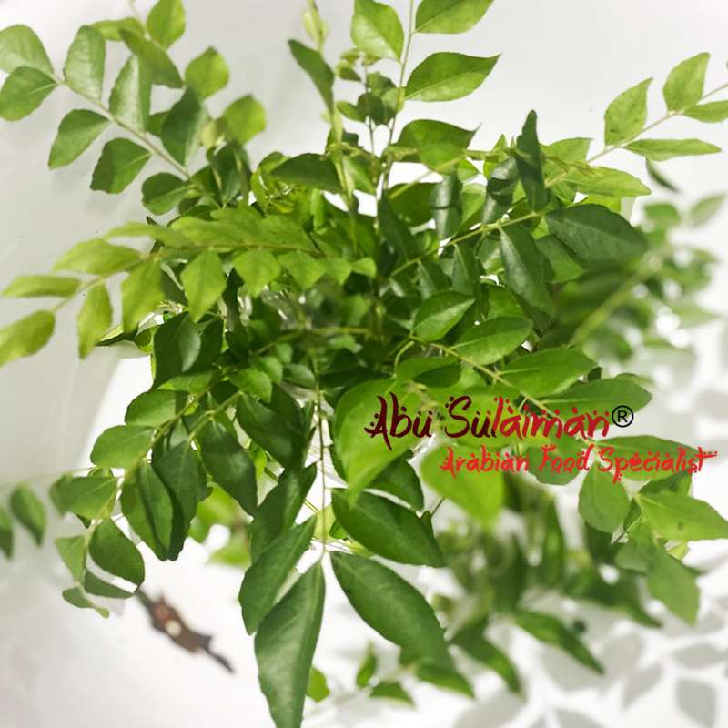 Jual Daun Kari Segar Daun Salam Koja Daun Temurui Curry Leaves Fresh Murah Mei 2021 Blibli Jual Daun Kari Segar Daun Salam Koja Daun Temurui Curry Leaves Fresh Murah Mei 2021 Blibli