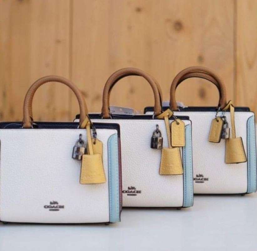 Micro zoe coach discount