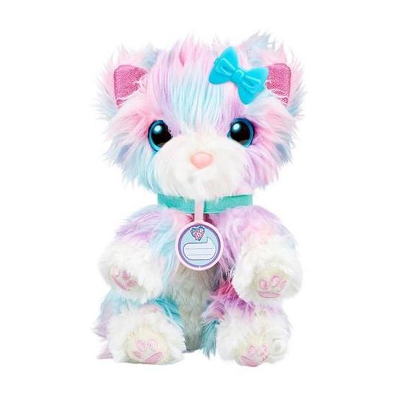 Scruff a luff family new arrivals