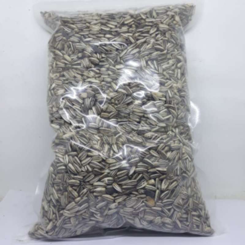 Jual Kuaci Biji Bunga Matahari 1kg Pakan Makanan Hamster Burung Lovebird Kenari Gerbil Tupai Sugar Glider Terbaru Juni 2021 Blibli