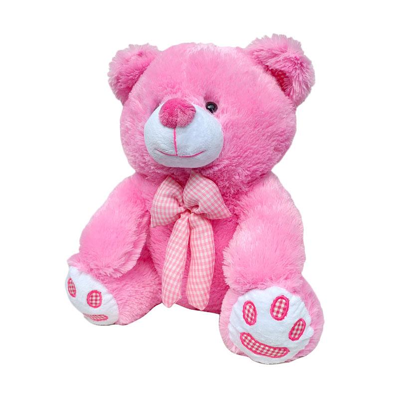 teddy bear in pink