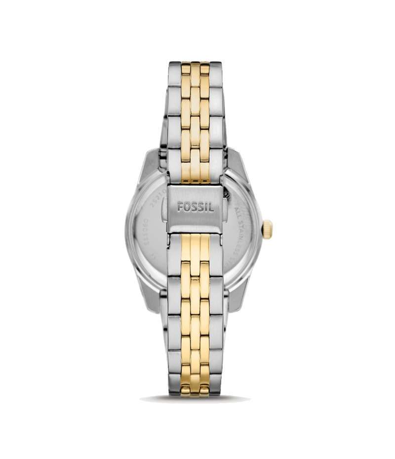 Two Tone Stainless Steel ES5060 