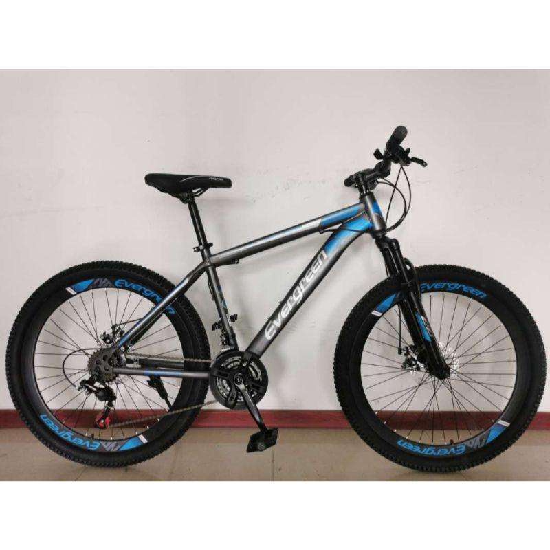 Evergreen mtb sales