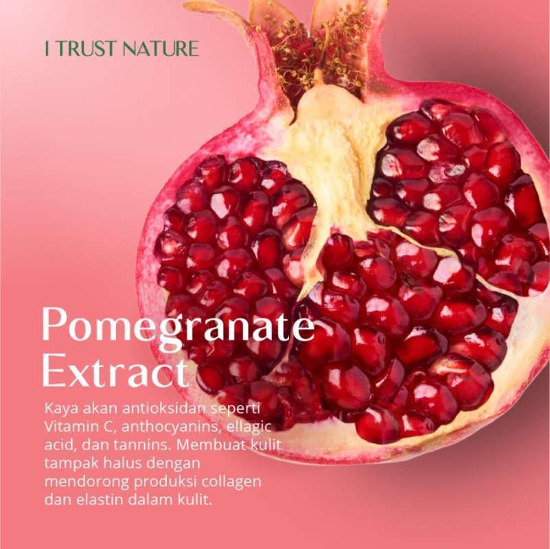Jual I Trust Nature Pomegranate Moist Gel Cream - Moisturizing