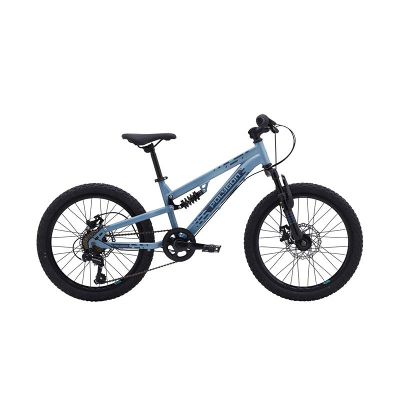 Jual Polygon Junior Rapid 20 Sepeda Mtb Online Agustus 2020