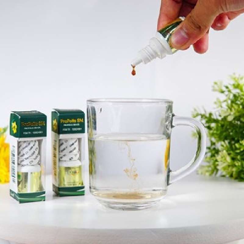 Obat propolis