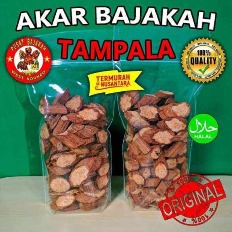 Jual Akar Bajakah Tampala Kalimantan Asli Termurah 500gram Online Oktober 2020 Blibli Com