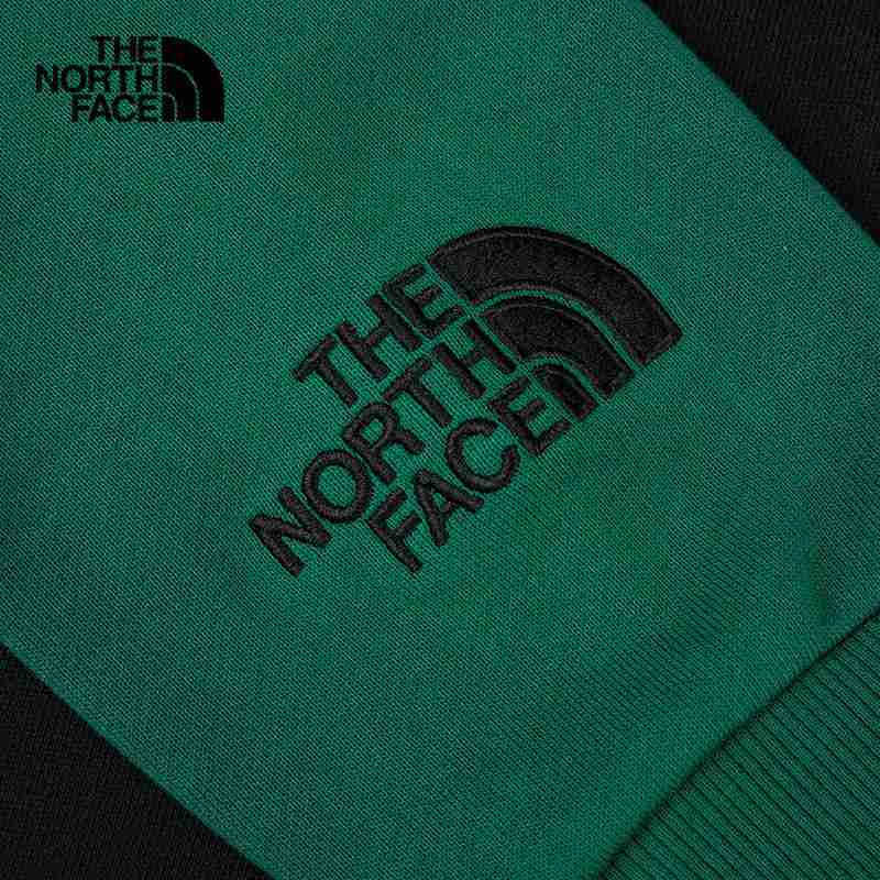 The north face men's hotsell luminous flux pullover hoodi