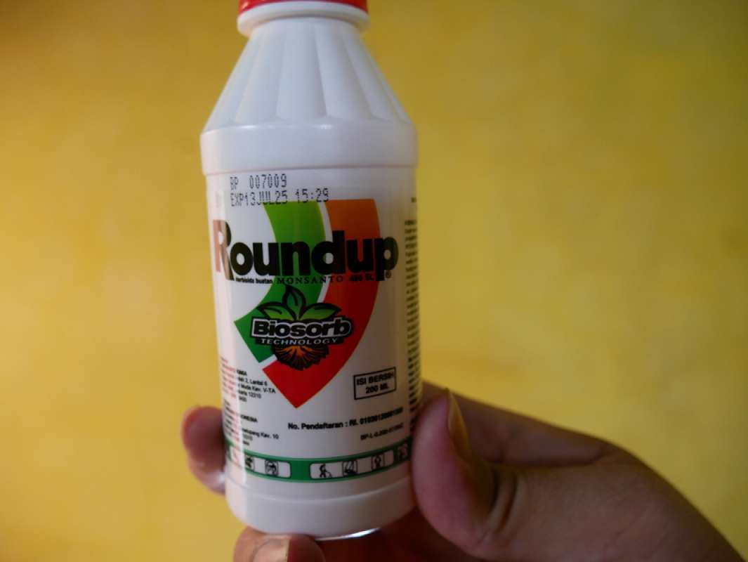 Tips Mengatasi Pertumbuhan Rumput Liar Pada Kebun Anda | Penggunaan Herbisida