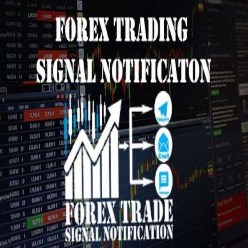 Jual Scripts Mytrade Telegram Supported Premium Cryptocurrency Tradin Terbaru Juli 2021 Blibli