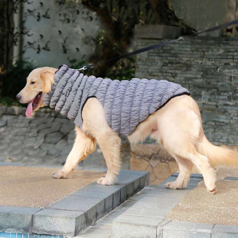 dog sweaters for labs