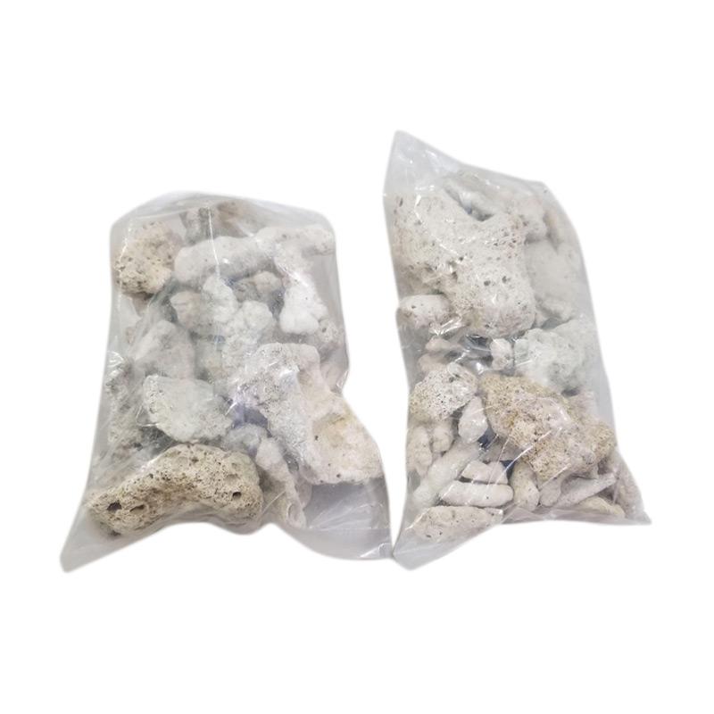 Jual Oem Karang Jahe Media Filter Aquarium Dan Kolam Ikan 1 Kg Online Desember 2020 Blibli