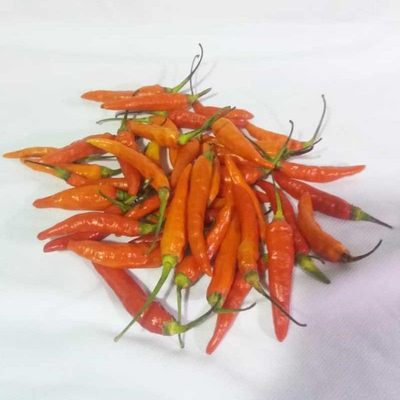 Jual Cabe Rawit Merah Cabai Rawit Merah Cabe Setan 250gr Murah Mei 2021 Blibli