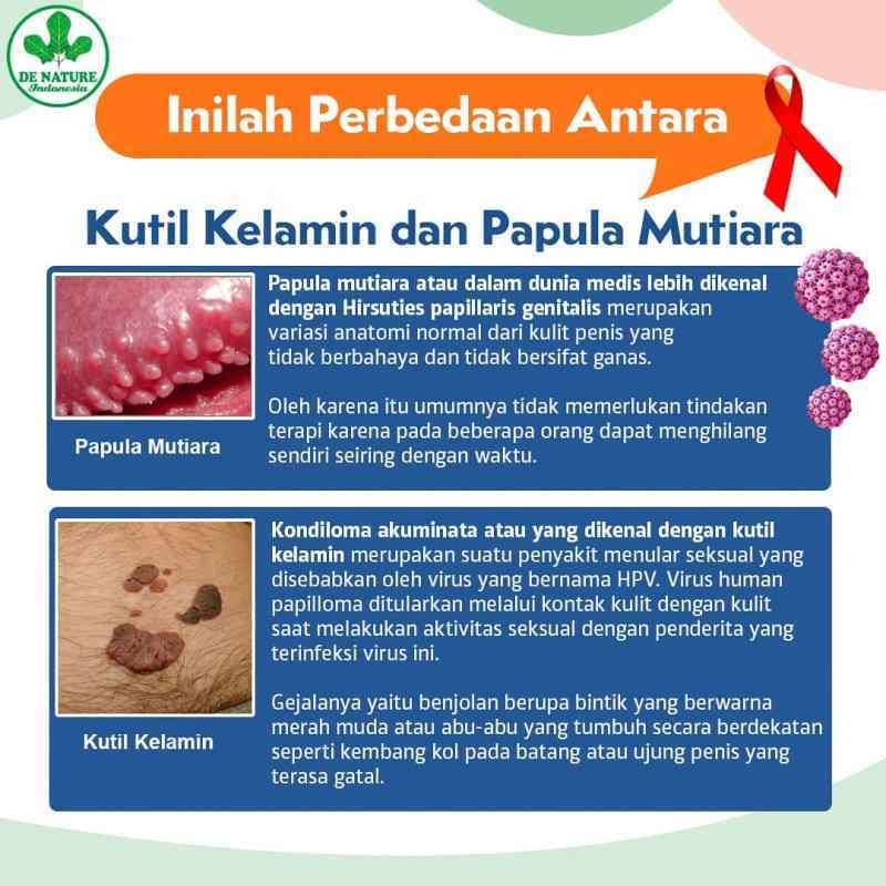 apa itu gonore